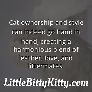 Cat ownership and style can indeed go hand in hand, creating a harmonious blend of leather, love, and littermates.