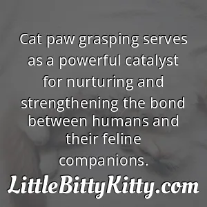 Cat paw grasping serves as a powerful catalyst for nurturing and strengthening the bond between humans and their feline companions.