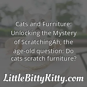 Cats and Furniture: Unlocking the Mystery of ScratchingAh, the age-old question: Do cats scratch furniture?