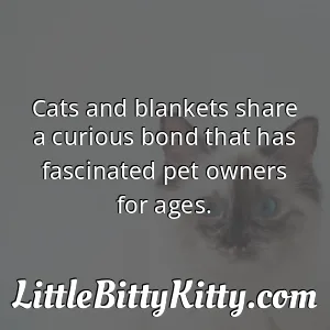 Cats and blankets share a curious bond that has fascinated pet owners for ages.