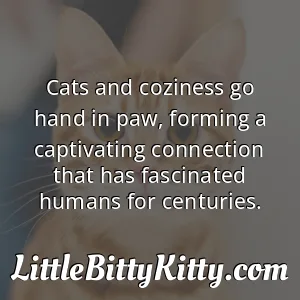Cats and coziness go hand in paw, forming a captivating connection that has fascinated humans for centuries.