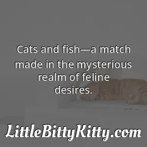 Cats and fish—a match made in the mysterious realm of feline desires.