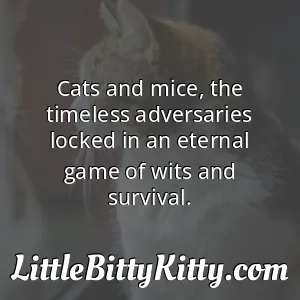 Cats and mice, the timeless adversaries locked in an eternal game of wits and survival.