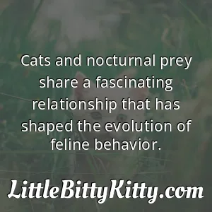 Cats and nocturnal prey share a fascinating relationship that has shaped the evolution of feline behavior.