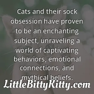 Cats and their sock obsession have proven to be an enchanting subject, unraveling a world of captivating behaviors, emotional connections, and mythical beliefs.
