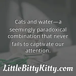 Cats and water—a seemingly paradoxical combination that never fails to captivate our attention.