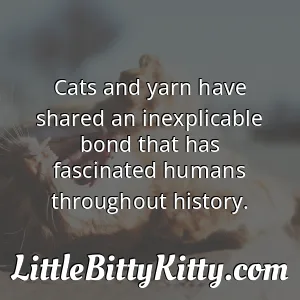 Cats and yarn have shared an inexplicable bond that has fascinated humans throughout history.