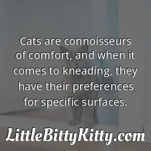 Cats are connoisseurs of comfort, and when it comes to kneading, they have their preferences for specific surfaces.