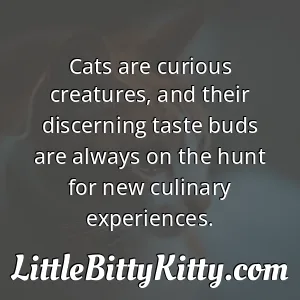 Cats are curious creatures, and their discerning taste buds are always on the hunt for new culinary experiences.