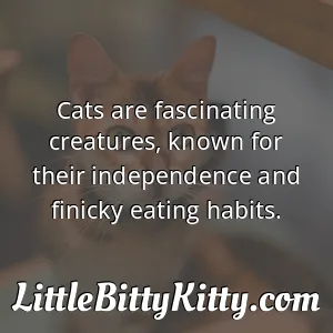 Cats are fascinating creatures, known for their independence and finicky eating habits.
