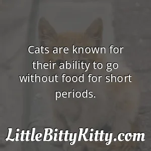 Cats are known for their ability to go without food for short periods.