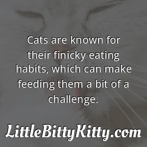 Cats are known for their finicky eating habits, which can make feeding them a bit of a challenge.