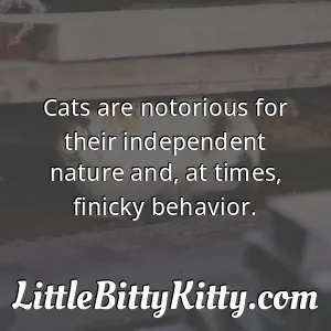 Cats are notorious for their independent nature and, at times, finicky behavior.