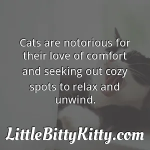 Cats are notorious for their love of comfort and seeking out cozy spots to relax and unwind.