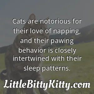 Cats are notorious for their love of napping, and their pawing behavior is closely intertwined with their sleep patterns.