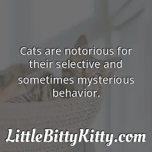 Cats are notorious for their selective and sometimes mysterious behavior.