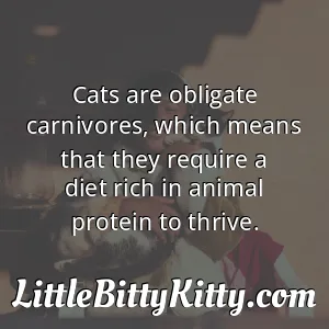 Cats are obligate carnivores, which means that they require a diet rich in animal protein to thrive.