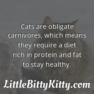 Cats are obligate carnivores, which means they require a diet rich in protein and fat to stay healthy.