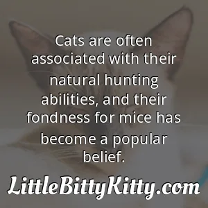 Cats are often associated with their natural hunting abilities, and their fondness for mice has become a popular belief.
