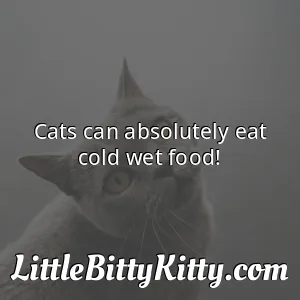 Cats can absolutely eat cold wet food!