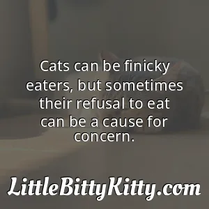 Cats can be finicky eaters, but sometimes their refusal to eat can be a cause for concern.