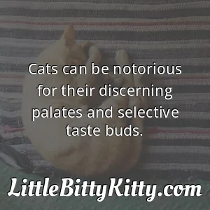 Cats can be notorious for their discerning palates and selective taste buds.