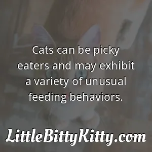Cats can be picky eaters and may exhibit a variety of unusual feeding behaviors.