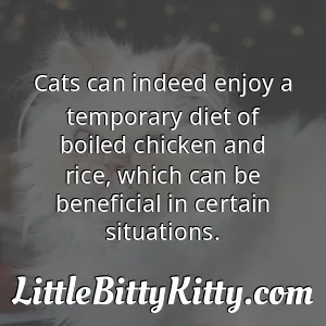 Cats can indeed enjoy a temporary diet of boiled chicken and rice, which can be beneficial in certain situations.