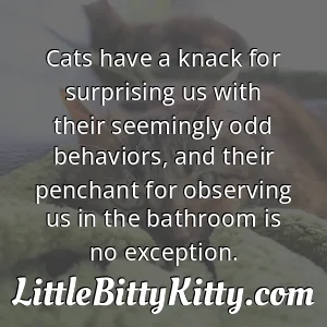 Cats have a knack for surprising us with their seemingly odd behaviors, and their penchant for observing us in the bathroom is no exception.