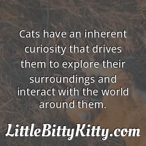 Cats have an inherent curiosity that drives them to explore their surroundings and interact with the world around them.