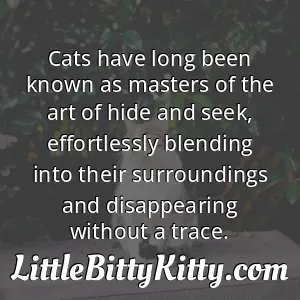 Cats have long been known as masters of the art of hide and seek, effortlessly blending into their surroundings and disappearing without a trace.