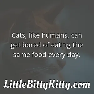 Cats, like humans, can get bored of eating the same food every day.