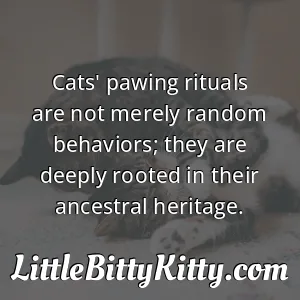 Cats' pawing rituals are not merely random behaviors; they are deeply rooted in their ancestral heritage.