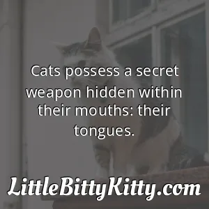 Cats possess a secret weapon hidden within their mouths: their tongues.