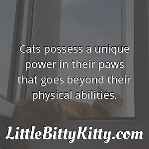 Cats possess a unique power in their paws that goes beyond their physical abilities.