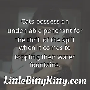 Cats possess an undeniable penchant for the thrill of the spill when it comes to toppling their water fountains.