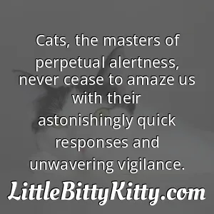 Cats, the masters of perpetual alertness, never cease to amaze us with their astonishingly quick responses and unwavering vigilance.
