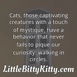 Cats, those captivating creatures with a touch of mystique, have a behavior that never fails to pique our curiosity: walking in circles.