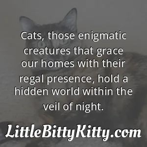 Cats, those enigmatic creatures that grace our homes with their regal presence, hold a hidden world within the veil of night.