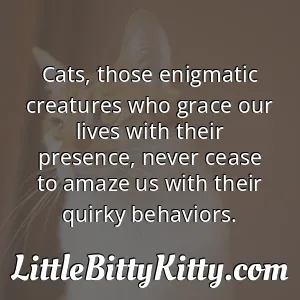 Cats, those enigmatic creatures who grace our lives with their presence, never cease to amaze us with their quirky behaviors.
