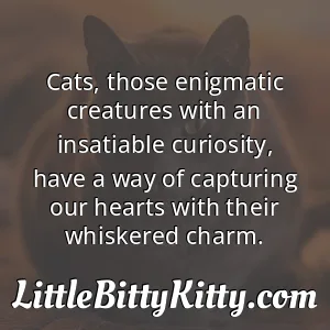 Cats, those enigmatic creatures with an insatiable curiosity, have a way of capturing our hearts with their whiskered charm.