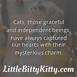 Cats, those graceful and independent beings, have always captured our hearts with their mysterious charm.