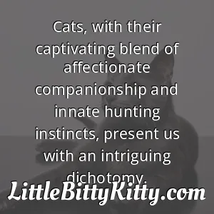 Cats, with their captivating blend of affectionate companionship and innate hunting instincts, present us with an intriguing dichotomy.