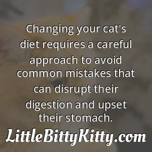 Changing your cat's diet requires a careful approach to avoid common mistakes that can disrupt their digestion and upset their stomach.