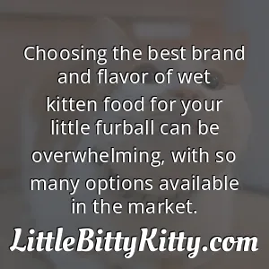 Choosing the best brand and flavor of wet kitten food for your little furball can be overwhelming, with so many options available in the market.