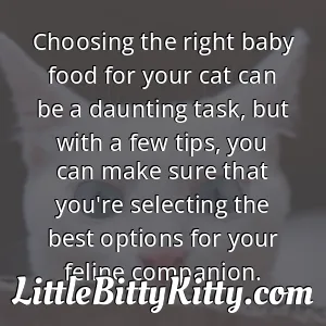Choosing the right baby food for your cat can be a daunting task, but with a few tips, you can make sure that you're selecting the best options for your feline companion.