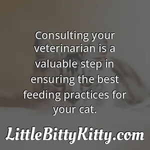 Consulting your veterinarian is a valuable step in ensuring the best feeding practices for your cat.