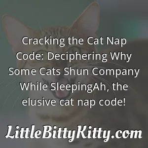 Cracking the Cat Nap Code: Deciphering Why Some Cats Shun Company While SleepingAh, the elusive cat nap code!