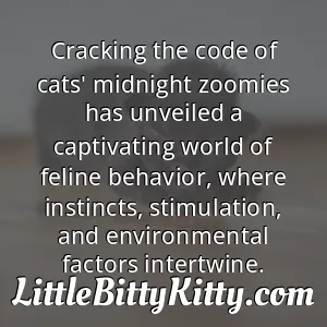 Cracking the code of cats' midnight zoomies has unveiled a captivating world of feline behavior, where instincts, stimulation, and environmental factors intertwine.