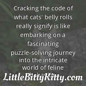 Cracking the code of what cats' belly rolls really signify is like embarking on a fascinating puzzle-solving journey into the intricate world of feline behavior.